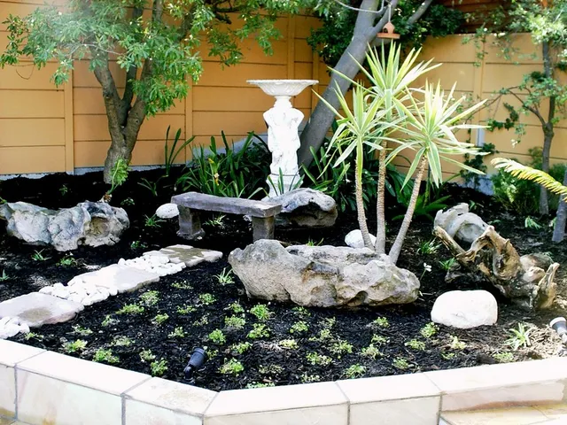 June Garden Tips for Cape Town Gardens